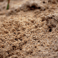 Poussée de terre - AQUILUS