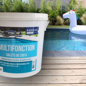 CHLORE MULTIFONCTION 5KG Galet de 250g AQUILUS